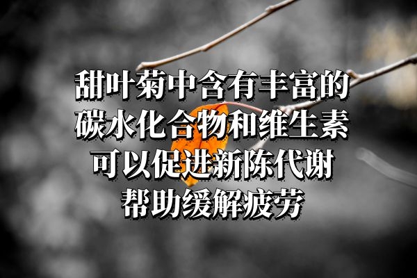  甜叶菊的功效与禁忌分别是什么？