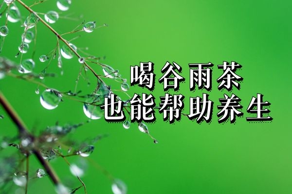 谷雨茶 谷雨茶