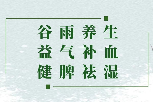 益气补血健脾祛湿