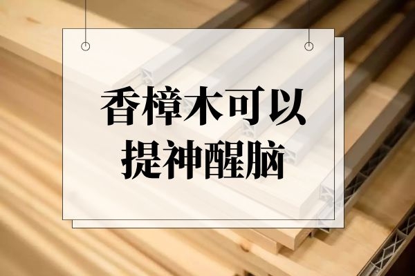  香樟木的功效与作用与禁忌有哪些？