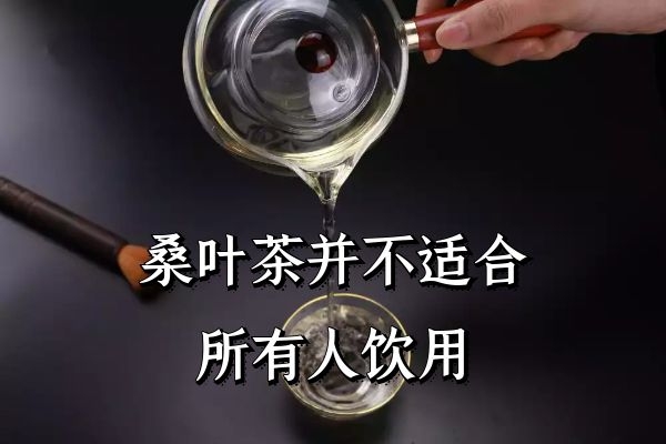 桑叶茶禁忌人群 桑叶茶禁忌人群