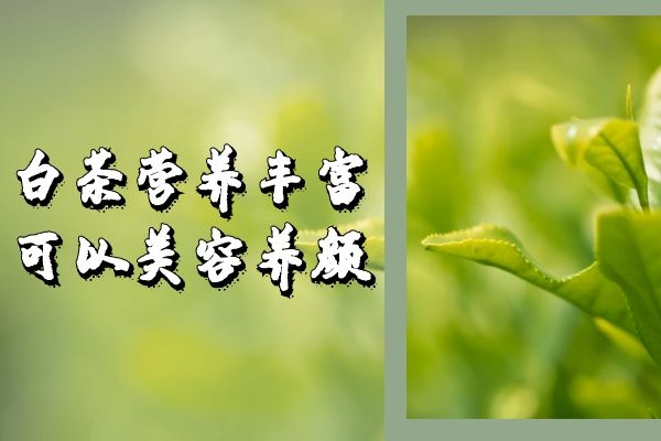 美容养颜 美容养颜