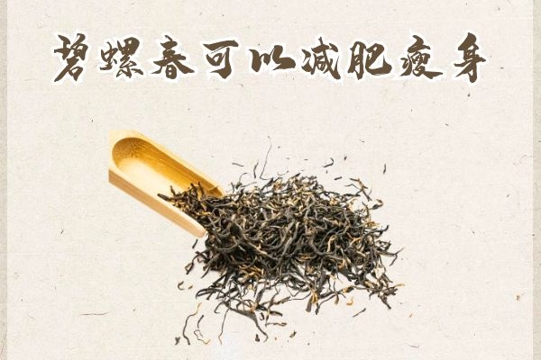 减肥瘦身 减肥瘦身