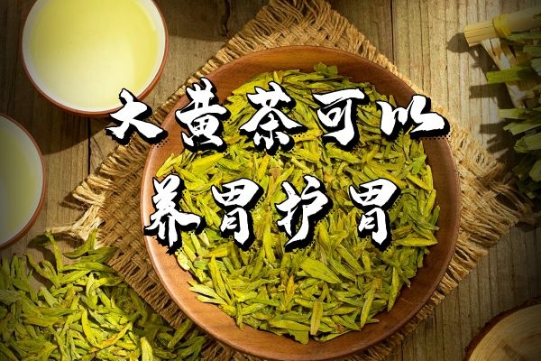 养胃护胃 养胃护胃