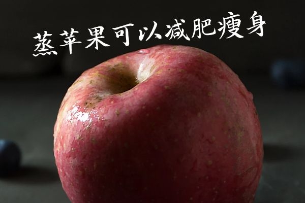 减肥瘦身 减肥瘦身