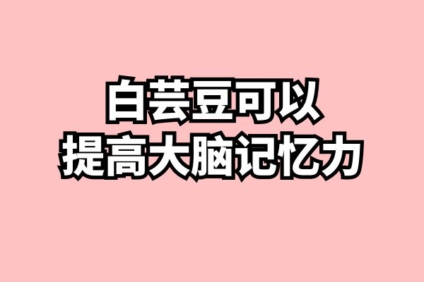 提高大脑记忆力 提高大脑记忆力