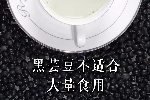 黑芸豆不适合大量食用 黑芸豆不适合大量食用