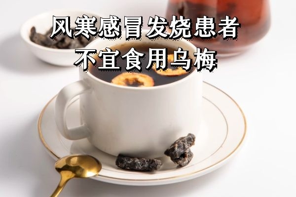  乌梅的禁忌人群有哪些？以下情况的人群不建议食用乌梅