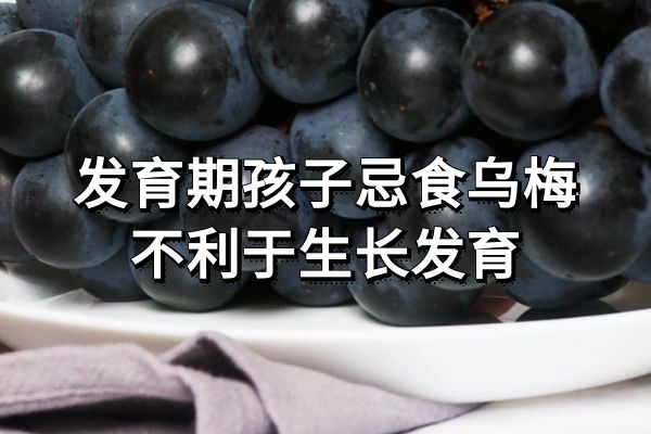 发育期孩子忌食乌梅 发育期孩子忌食乌梅
