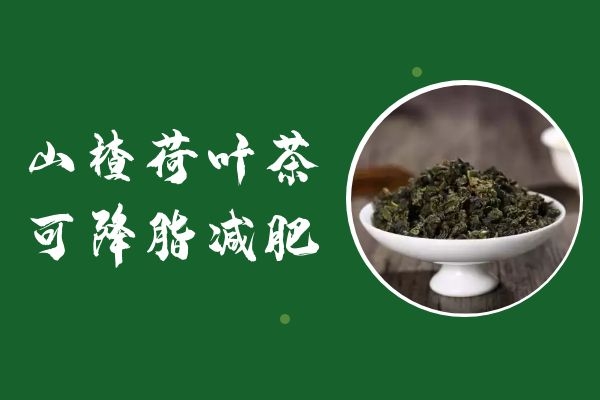 降脂减肥 降脂减肥