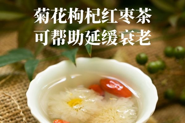 延缓衰老 延缓衰老