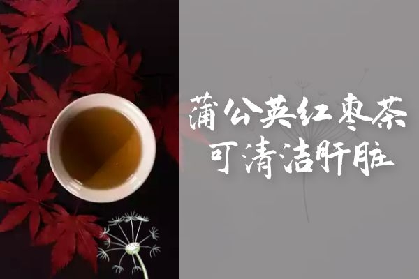  蒲公英红枣茶的功效与作用及饮用禁忌有哪些？