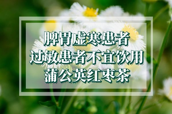 蒲公英红枣茶禁忌人群 蒲公英红枣茶禁忌人群