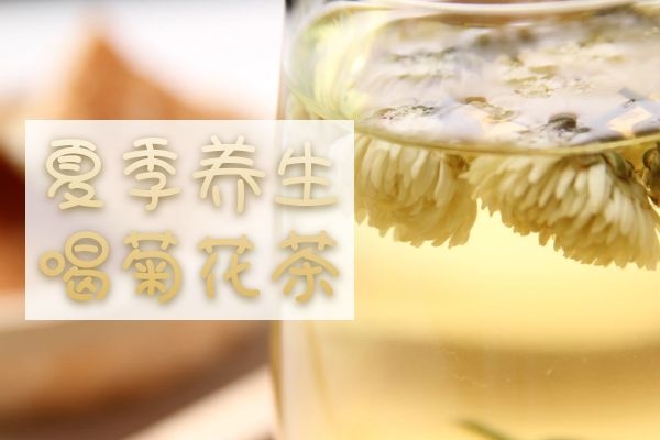 菊花茶 菊花茶