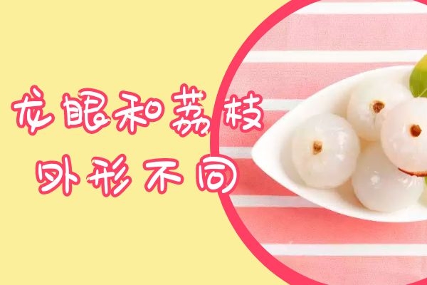 外形不同 外形不同