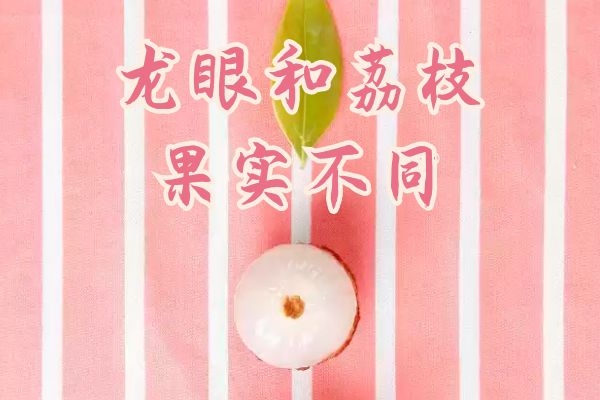 果实不同 果实不同
