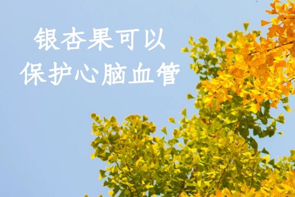 保护心脑血管 保护心脑血管