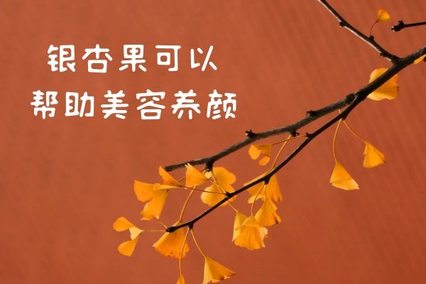 美容养颜 美容养颜