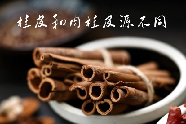  桂皮与肉桂的区别是什么？怎么区分呢？