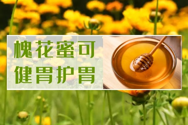  槐花蜜的功效与作用及禁忌有哪些？