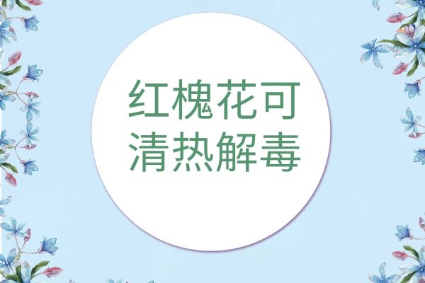  红槐花的功效与作用及禁忌有哪些？