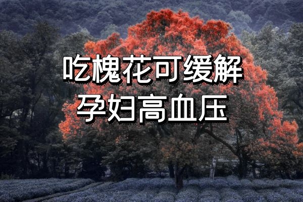 缓解孕妇高血压 缓解孕妇高血压