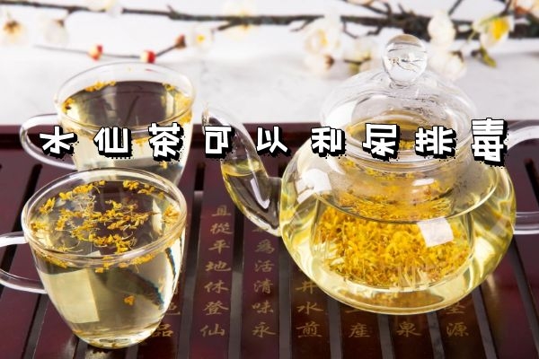  水仙茶的功效与作用及禁忌有哪些？