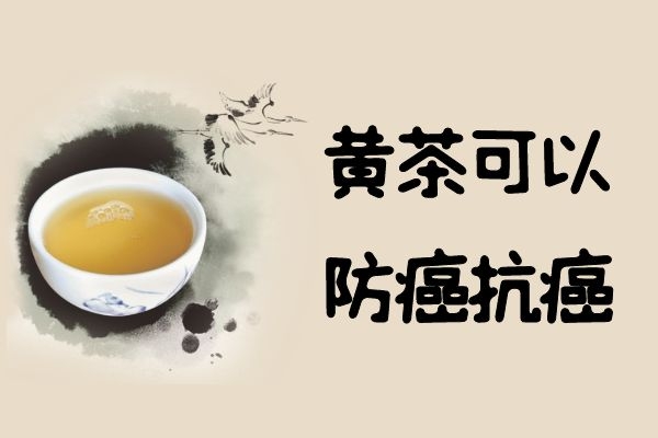 防癌抗癌 防癌抗癌