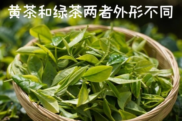 外形不同 外形不同