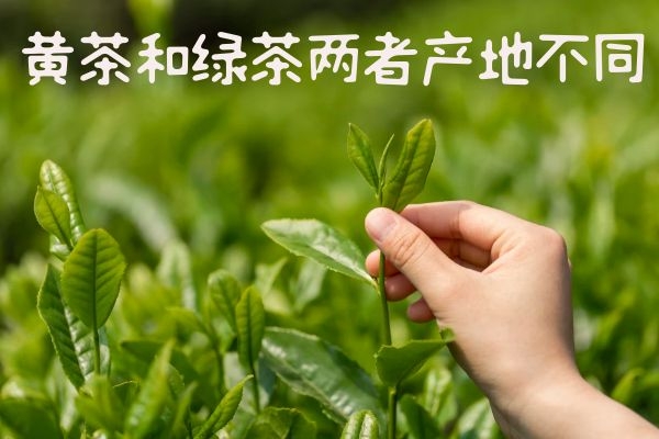 产地不同 产地不同