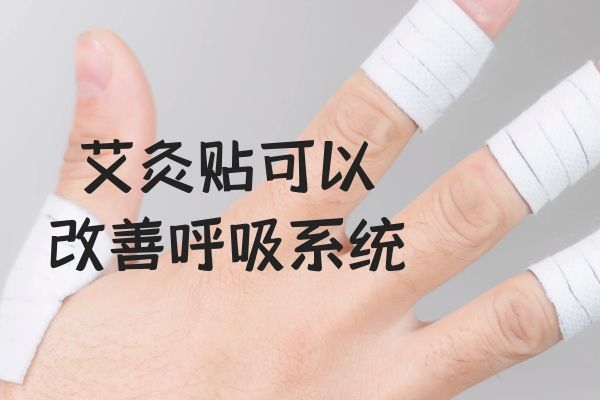 改善呼吸系统 改善呼吸系统