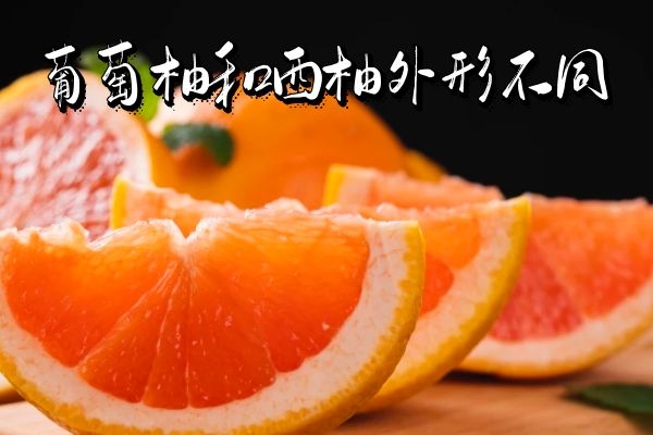  葡萄柚和西柚的区别有哪些？两者的不同之处有这几个