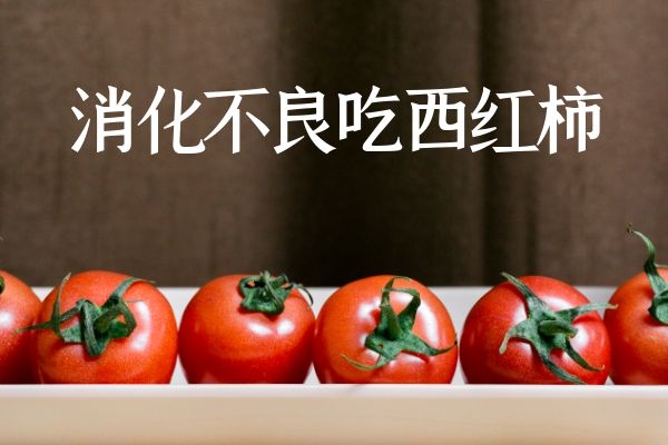 西红柿 西红柿