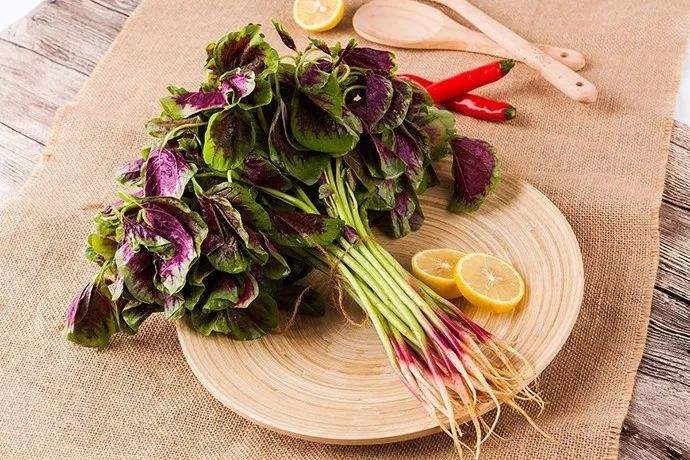  这8类红苋菜禁忌人群别吃，吃了红苋菜，对你的健康会产生影响