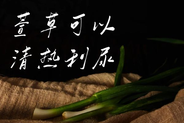  关于萱草的功效与作用及禁忌你了解多少？