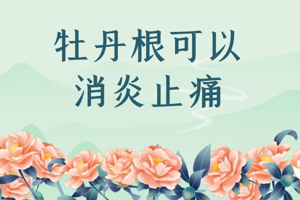  牡丹根的功效与作用 牡丹根有哪些禁忌？