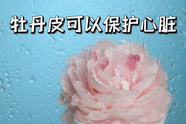  牡丹皮的功效与作用及禁忌有哪些？