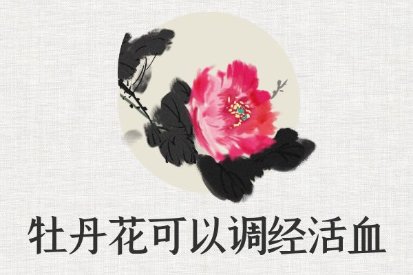  关于牡丹花的功效与作用及禁忌你了解多少？