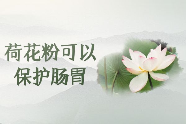  关于荷花粉的功效与作用及禁忌你了解多少？