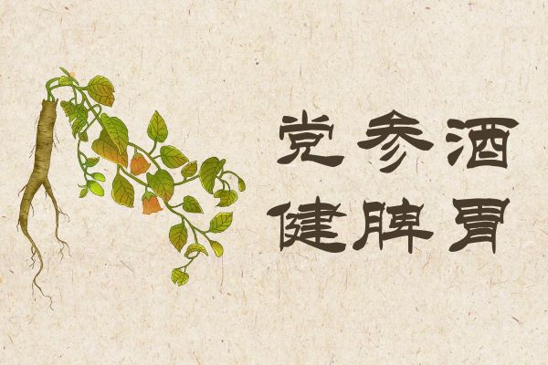  党参酒的功效与作用及禁忌有哪些？