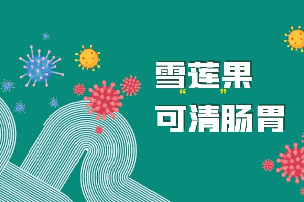  雪莲果的功效与作用及禁忌有哪些？