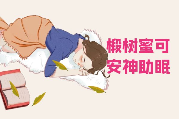  椴树蜜的功效与作用及禁忌有哪些？这几类人不宜服用椴树蜜