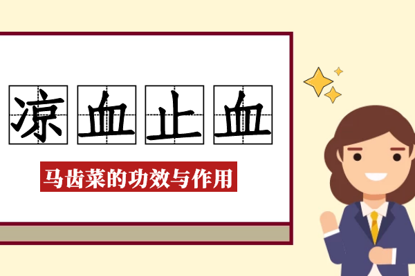 凉血止血 凉血止血