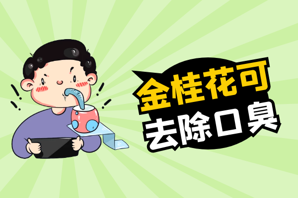 净化空气 净化空气