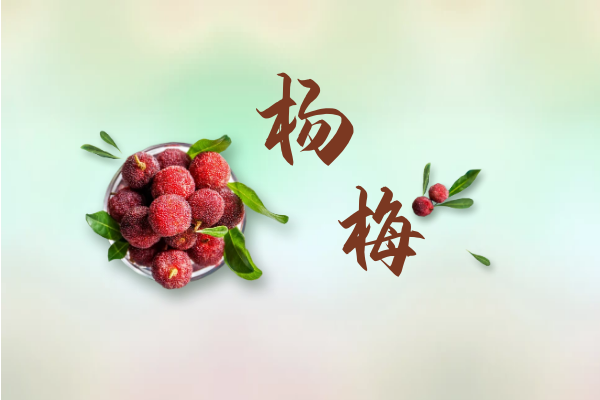 杨梅 杨梅