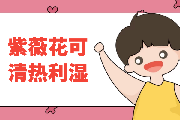  紫薇花的功效与作用及禁忌有哪些？