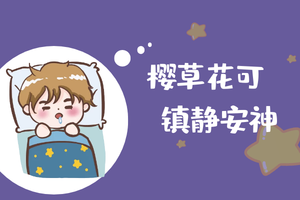  关于樱草花的功效与作用及禁忌你了解多少？