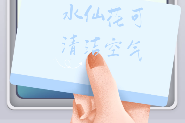 清洁空气 清洁空气