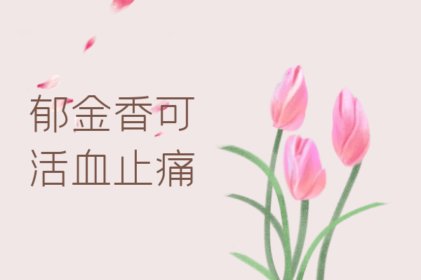  郁金香的功效与作用及禁忌有哪些？