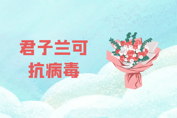  君子兰的功效与作用及禁忌有哪些？